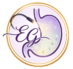 logo-dra-eleana-gomez